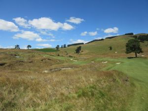 Kinloch 16th Fescue